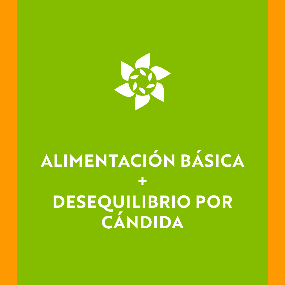 Veritest Basic /C