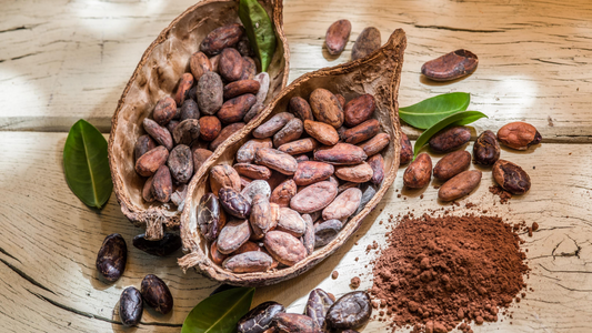 CONOCE TODO SOBRE EL CACAO